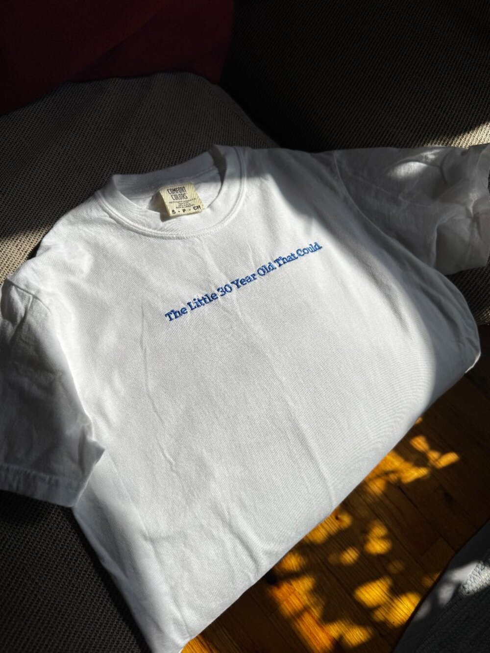 Embroidered "The Little 30 Year Old That Could" T-Shirt - Quote tee